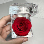 Eternal Preserved Rose Real Flower Valentine'S Birthday Anniversary Mother'S Day Acrylic Gift Box New Artificial Decorations