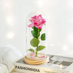 Acrylic Dome Eternal Rose Artificial Flowers Gift for Valentine Wedding Birthday Home Decor Room Desk Decorations Fake Flowers