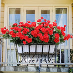 Arbusto de Azalea Resistente al Sol UV — Exterior y Jardín, 7 Colores