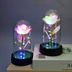 Eternal Rose Flower Valentines Birthday Gifts Light Up Artificial Rose with Transparent Dome Christmas Thanksgiving Women Gifts