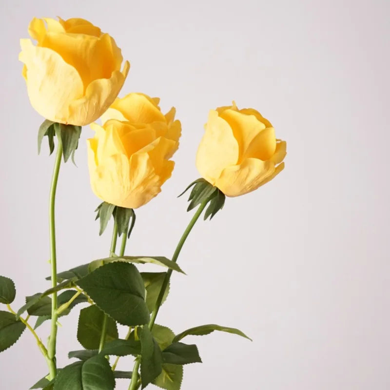 Rosas Real Touch con Humedad — Ramo 10 Tallos Látex, 6 Colores, Novia