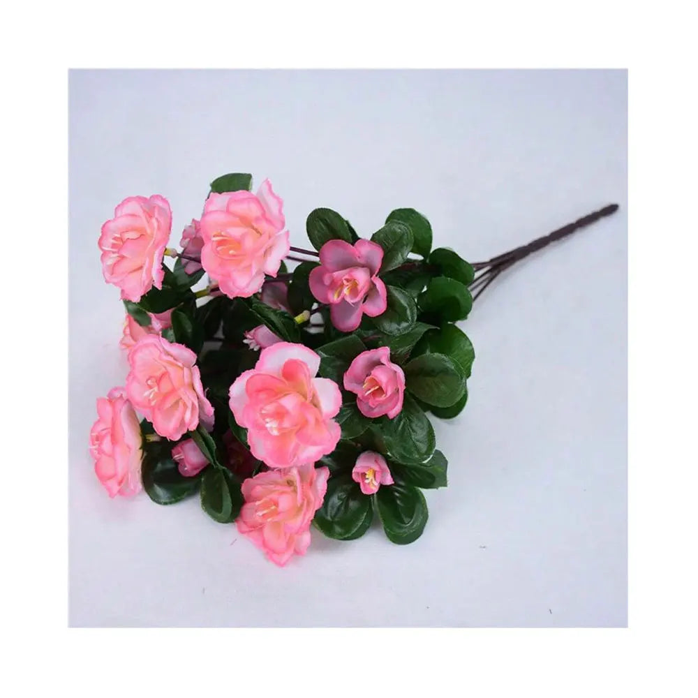Arbusto de Azalea Resistente al Sol UV — Exterior y Jardín, 7 Colores